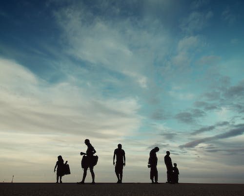 Pexels Photo 2545204.jpeg