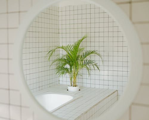 Pexels Photo 3148596.jpeg