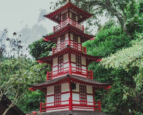 Pexels Photo 6121962.jpeg